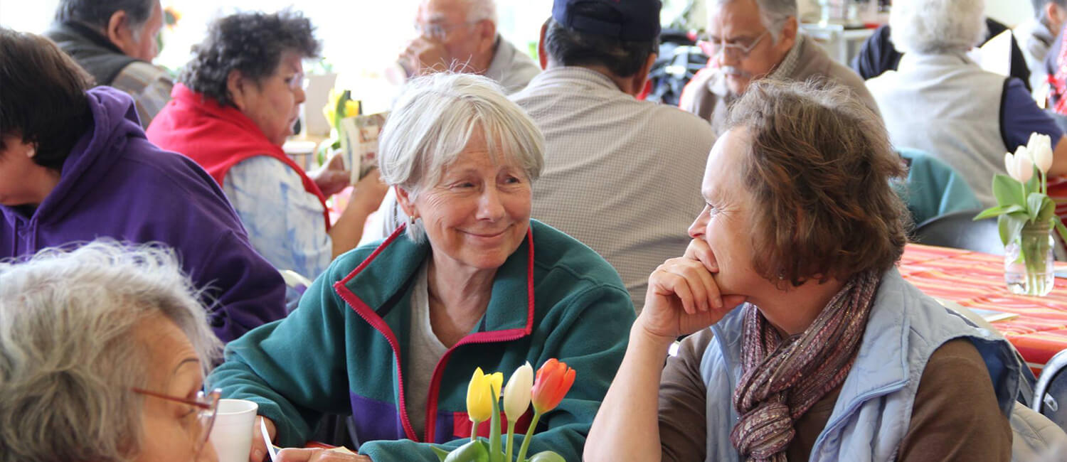 Low Rent Program for Elders THRHA